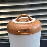 UPXNBOR LED Nachttischlampe mit Fernbedienung, Dimmbar mit 13 RGB Farben & 4 Modi, Tischlampe Kabellos mit Timer & Haken, USB Aufladbar, Tragbares Nachtlicht für Schlafzimmer, Kinderzimmer (2er Pack)