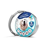 DREEMZ ® Flohschutz Halsband für Hunde – Zeckenhalsband - Flohhalsband (100% Natürlich) - Schutzhalsband gegen Flöhe - 8 Monate Schutz - 63cm verstellbar für alle Größen- Wasserfest (1 Einheit)