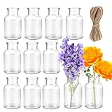 Kleine Glasvasen Small Vase,Pack of 12 Mini Glass Vases,125 ml Small Bottles with Jute Cord, Flower Vase, Table Vases,for Table,Decoration,Centrepieces,Home,Birthdays,Festivals