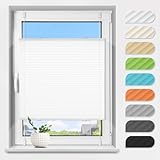 Plissee ohne Bohren Klemmfix Weiß B45 x H130 cm Plissees Lichtdurchlässig & Sichtschutz Easyfix Plisseerollo mit Klemmträger Jalousie Sonnenschutz Rollo für Fenster & Türen