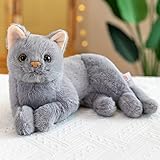 Simulation Kurzhaar Katze Plüsch Spielzeug Puppe, Kawaii Katze Kuscheltier Realistisch Lebensechte Siamesische Katze Plüschtiere Orange Tabby Katze Stofftiere Stofftierpuppe Geschenk für Kinder
