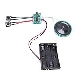 Xiuganpo Sound -Recorder -Modul, Burle Reproduction Voice Record Modul