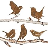 BOFUNX 5 Stück Rost Vogel Gartendeko Gartenstecker Roststecker Metall Vögel Baumstecker Rost Deko mit Schraube für Gartendekoration Frühling Bäume Deko
