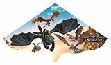 Günther Flugspiele 1212 - Einleiner-Drachen Dragons, ca. 115 x 63 cm, Kinderdrachen aus robuster PE-Folie, inkl. Griff & Drachenschnur, Outdoor Spielzeug für Kinder ab 4 Jahren