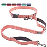 VIVAGLORY Joggingleine Hunde Bungeeone Hundeleine Joggen, Laufleine mit Schlaufe & Gepolstertem Griff für Hausleine Joggingleine, Bungee & Gummizug für Hunde, S, Rosa/Grau