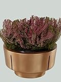 Moderne Grabschale aus Bronze Pflanzschale Blumenschale für Grab&Friedhof
