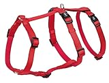Nobby Sicherheitsgeschirr Turva Leckschutz für Hunde Nylon und Neopren (XS-S Hals 24-34 cm, Brust 30-40 cm, Rot)