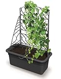 Blumenkasten Blumentopf Rankkasten Pflanzkübel Blumenkübel 58 cm mit Rankgitter Hochbeet mit Spalier Pergola Rankhilfe Höhe 80 cm Anthrazit