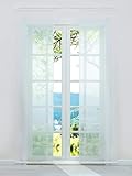 ESLIR Schiebegardinen Voile Flächenvorhänge Set 2er Gardinen mit Klettband Schiebevorhang Transparent Vorhang Uni Weiß BxH 57x175cm 2 Stück