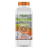 GiDeli bioethanol 1l Orangenduft 96,6% Ethanol für Innen & Außenkamine Rauch und Rußfrei - Aus Mais & Zuckerrüben