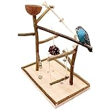 Vogelgaleria® Luxus Vogelspielplatz aus Natur Holz mit Abnehmbarer Futterschale | Ideales Spielzeug bei Freiflug für Wellensittich Nymphensittich | Vogelspielzeug