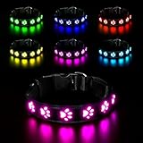 AUAUY Hundehalsband Leuchtend, LED Leuchthalsband Hunde Halsband USB Wiederaufladbar Wasserdichtes für Kleine Mittlere Große Haustier Einstellbar Sicherheit Kragen mit 6 Farben (Colorful-S)