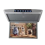 CONRAL 12,5 Zoll ultradünner FHD Digital IPS Bildschirm 1080P Video Auto Overhead Player Auf dem Dach montierter Monitor Eingebauter HDMI Anschluss, 1920 x RGB x 1080 Full High Definition,Grey