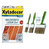 zbs24 Xyladecor Holzschutzlasur 2in1, keine Grundierung, Pinselset, tief eindringend, hoher UV-u. Nässeschutz, für alle Holzbauteile im Aussenbereich (weissbuche, 2,5 Liters)