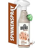 Envira Spinnenspray 500 ml - Hochwirksame Spinnenabwehr - Anti Spinnenspray mit Langzeitwirkung - Spinnen Abwehrspray - Mittel gegen Spinnen - Spray mit dezentem Zitrusduft, geruchsarm