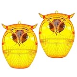 Wespenfalle für den Außenbereich, 2 Stück Bienenfalle mit LED-Licht, wiederverwendbar, für Bauernhof, Garten, Terrasse, Hof, Außengebrauch