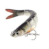 TUXIBIN Angelköder, Kunstköder, Spinnköder, Fische Angeln Set, Wobbler Jerkbait, Rotauge Köder für Hecht Barsch Zander, Angelset, Angelhaken 1-1