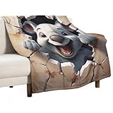 Sofadecke Niedlicher Koala Decke 168x228cm Kuscheldecken Sanft Warme Flanell Weich Fleecedecke Bettüberwurf 3D Tiermotiv Decke, Kinderdecke