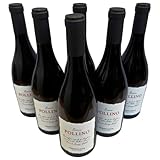 Magliocco Pollino Riserva 2020 – Terre di Cosenza DOP – Tenute Ferrocinto – 6×0,75 l – Rotwein aus Kalabrien – 24 Monate Barrique – 100 % Magliocco – Italienischer Premiumwein