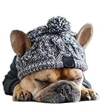 Warme Haustier Hund Strickmütze, Hund Wintermütze, Französische Bulldogge Mütze, Haustier Hund Winter W Ohren Flauschige Weiche Ohrenschützer Mütze, Hoodie Gestrickt