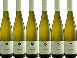 Manderschied Riesling 2023 Trocken Bioland Bio (6 x 1.0 l)
