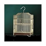 Vogelkäfig Vogelkäfig, quadratischer Metallkäfig for Papageien, Kanarienvögel, goldfarbener einstöckiger Zierkäfig mit Haken Vogelkäfige