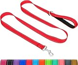 Taglory Hundeleine Kleine Hunde Leicht | Doppelseitig Reflektierend | Gepolsterter Griff | Bis zu 10 kg | 1.8m x 2cm | Rot