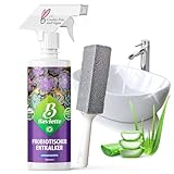 Baviette 500ml Bad-Kraftreiniger & Kalkentferner Spray inkl. Bimsstein – biologisch abbaubar & probiotisch, für WC, Waschbecken & Armaturen – geeignet für Haushalte mit Kindern & Haustieren