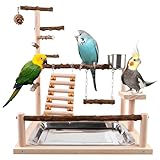 Wellensittich Spielplatz, Vogelspielplatz aus Holz, Papageien-Spielständer mit Feeder Cup, Spielzeug Leiter Erklimmen Schaukel und Tablett, Vogelspielzeug Spielplatz für Nymphensittich, Wellensittich