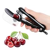 Kirschentkerner, Kirschkernentferner, Edelstahl Entkerner Kirschen, Kirschentsteiner Obstentkerner Cherry Corer Entferner, Hand Fruit Entsteiner Mit Aufbewahrungsbox für Obst Pflaumen Oliven Cherries