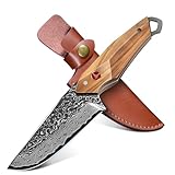 TAN REN Damastmesser 10.4 CM, Outdoor Messer Feststehend, Survival Messer Outdoor, Jagdmesser Feststehende Klinge mit Scheide, Bushcraft Camping Messer Feststehend für Wandern, Fischen und Jagd