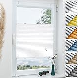 Grandekor Plissee ohne Bohren Verdunkelung Weiß 50x130cm(BxH), Klemmfix Verdunklungsplissee für Fenster Tür, Thermo Plissees Verdunklung Blickdicht für Schlafzimmer, Wohnzimmer, Büro