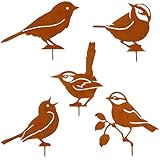 Gartenstecker Vögel Deko Rost,5er Rost Vogel Gartendeko für Draußen, Gartenstecker Rost Deko Vogel,Vögel Gartendeko Rost,Gartenstecker Vogel,Rost Metall Vögel Gartenstecker,Gartendeko Rost für Draußen