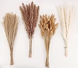 ANPROOR Getrocknete Pampasgrasdekoration, 100 Stück Pampasgras mit Bunny-Tails-getrockneten Blumen, Schilfgrasstrauß für Hochzeits-Boho-Blumen und Tischdekoration zu Hause, rustikale Bauernhaus-Party