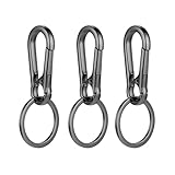 SteelFever Karabiner Schlüsselanhänger,3 Stück Metall Schlüsselanhänger,Karabinerhaken Klein,Schlüsselring mit Karabiner Abnehmbare für Aufhängen im Rucksack, Autoschlüssel