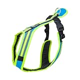 Safety Führ- und Zuggeschirr | Mantrailing | Canicross | Zughundesport | Alltagsgeschirr | Führgeschirr (Türkisblau-Neongrün, M - 23-29 Kg)