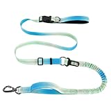 Hundeleine Große Hunde Verstellbare Führleine mit Reflektierenden Streifen für Hunde Joggingleine für Mittelgroße und Große Blau Gelb