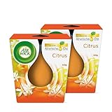 Air Wick Wohlfühl-Duftkerze DUO im Glas – Duft: Citrus – Enthält natürliche ätherische Öle – 2 x Duftkerzenset
