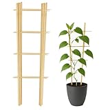 10 Stück Rankgitter Bambus, Rankhilfe Holz für Kletterpflanzen Gurken Tomaten Blumen Tomatenturm - Länge 60 cm