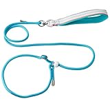Retrieverleine für Hunde, verstellbares Halsband, verhedderungsfrei, 1,5 m, dünn, Trainingsleine, Anti-Ziehen, Anti-Ersticken, Nylon, für Welpen, kleine, mittelgroße und große Hunde, Blau