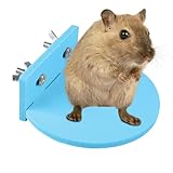 Hamster-Spielständer – Anti-Rutsch-Käfig-Brett, stehend, Klettern, Hamsterkäfig-Dekoration, Standbrett, Lebensraum, Haustier-Aktivitätsstruktur für Chinchilla, Vogel, Papagei