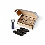 Bambus-Zahnseide mit Aktivkohle. Mikroplastikfrei, ohne PFAS, ohne Fluorid, BPA-frei, biologisch abbaubar, natürliche Minze, im Glasfläschchen (3er-Pack)