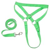 BCOATH Halfter mit Strick führstrick Pferde Halfter und Strick Pferde Stricke Green