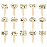 Nybhyjka Pflanzenetiketten, Pflanzenanhänger für den Außenbereich, wasserdicht, 15 x Holzpfähle mit lustigem Spruch, wetterfeste Schilder zum Beschriften von Blumentöpfen, Gartenbedarf, Gewächshaus