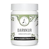 zestonics Darmkur – Komposition aus Flohsamenschalen, 9 verschiedene Kräuter und Zeolith. Vegan. Kräuter- und Pflanzenpulver
