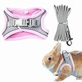 Haustiergeschirr, Kaninchengeschirr und Leine, atmungsaktive Haustierweste, reflektierende Streifen, Jacke für kleine Kätzchen, Welpen, Kaninchen (Rosa, S)