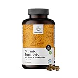 HealthyWorld® BIO Kurkuma 480 mg mit Ingwer und Schwarzem Pfeffer - 365 Kapseln - 1-Jahres-Vorrat - Perfekte Kombination natürlicher Zutaten - zur Unterstützung von Immunsystem, Leber und Herz