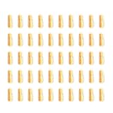 Amosfun 50 Stück rollende Papierflasche freundschaftsgeschenk kindergeburtstags mitgebsel Ingwer-Shot-Flaschen Tablettenfläschchen Schlüsselanhänger mini Wunsch Kapsel