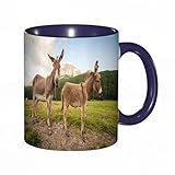 SDAEMQ Tasse Kaffeetassen,Zwei süße Esel in den Dolomiten, Italien,Große 330ml Mit Henkel 100% Handbemalt Trinkgläser Keramik,versch. Frauen,Jahrestag,Muttertag