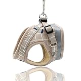 Hundegeschirr Set S – Verstellbar & Reflektierend – Atmungsaktives Welpen Geschirr mit Leine für Kleine Hunde – Geschirr Hund, Khaki